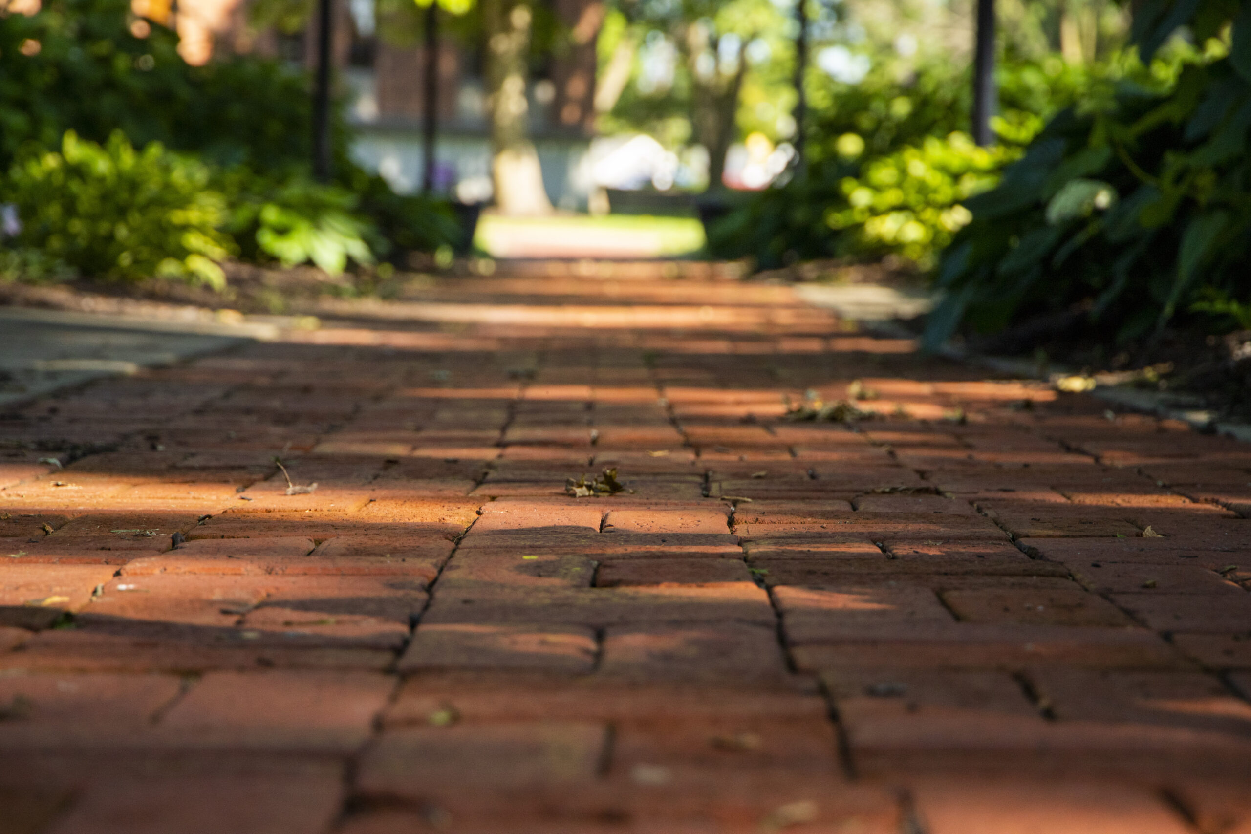 GIVE The Missouri Valley College campus